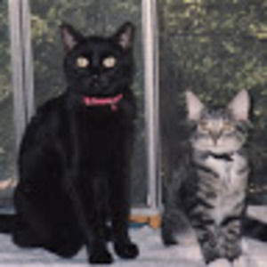 Meet your Posher, Sue